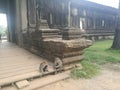 Monkeys in Cambodia Royalty Free Stock Photo